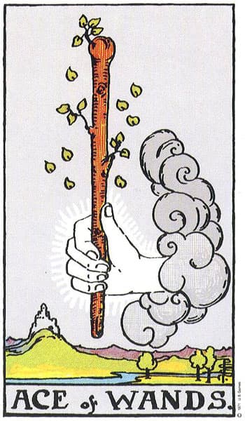 ace of wands