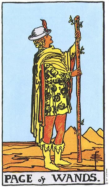 page of wands